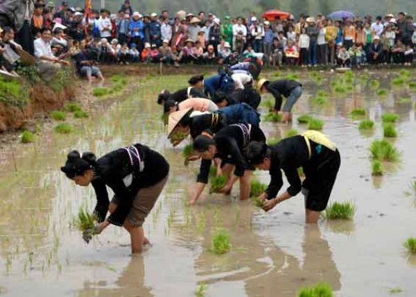 Lễ hội xuống đồng dân tộc Tày Cầu mùa và gắn kết cộng đồng Lễ hội xuống đồng dân tộc Tày Cầu mùa và gắn kết cộng đồng