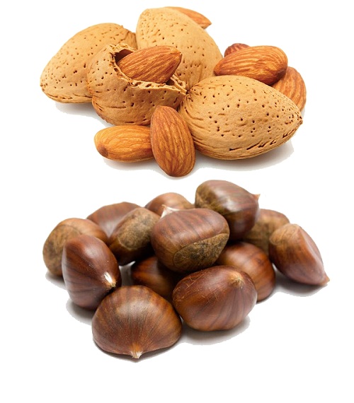 Hạnh nhân và hạt dẻ