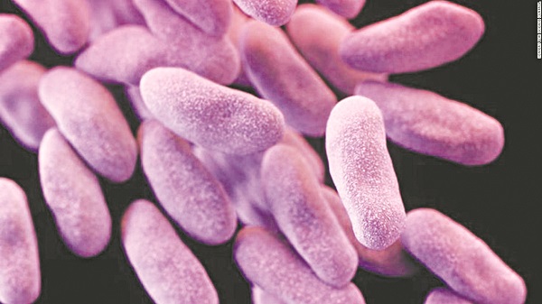Carbapenem Resistant Enterobacteriaceae