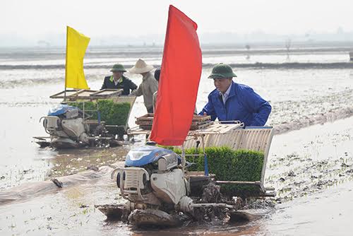 bi-thu-chu-tich-ha-noi-di-cay-cung-nong-dan-1