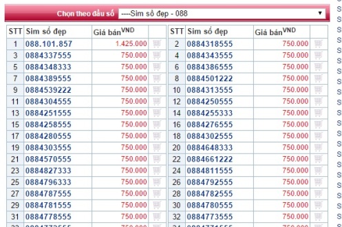 tien-trieu-mot-sim-dau-so-088-089-truoc-ngay-ra-mat