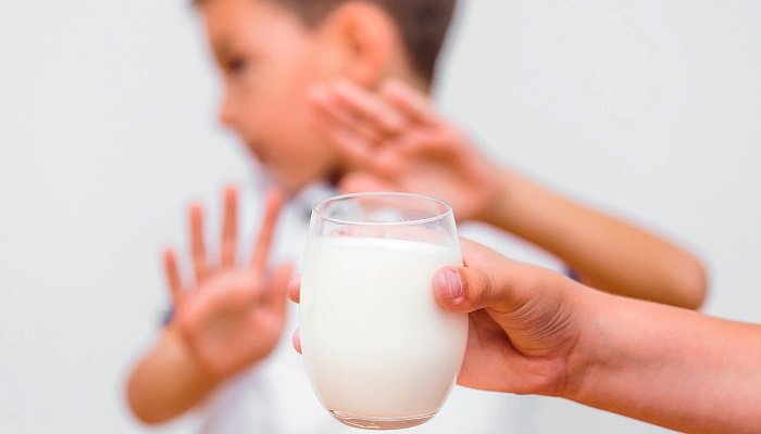 Đạm trong sữa bò dễ gây dị ứng cho trẻ. Đạm trong sữa bò dễ gây dị ứng cho trẻ.