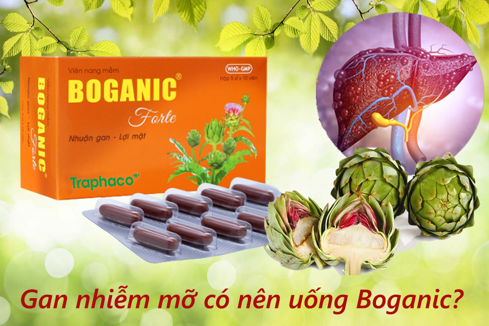 Thực phẩm chức năng hỗ trợ gan nhiễm mỡ