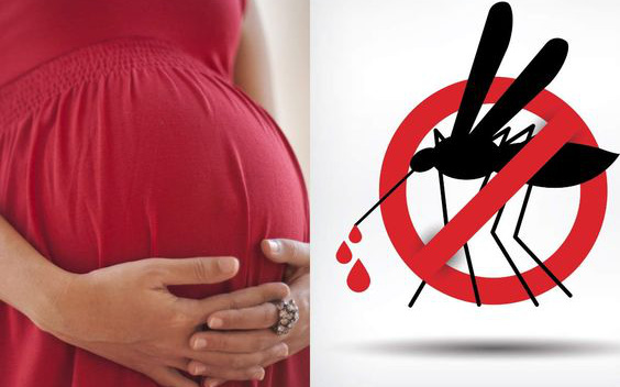 Các biến chứng sốt xuất huyết nguy hiểm cho bà bầu và thai nhi