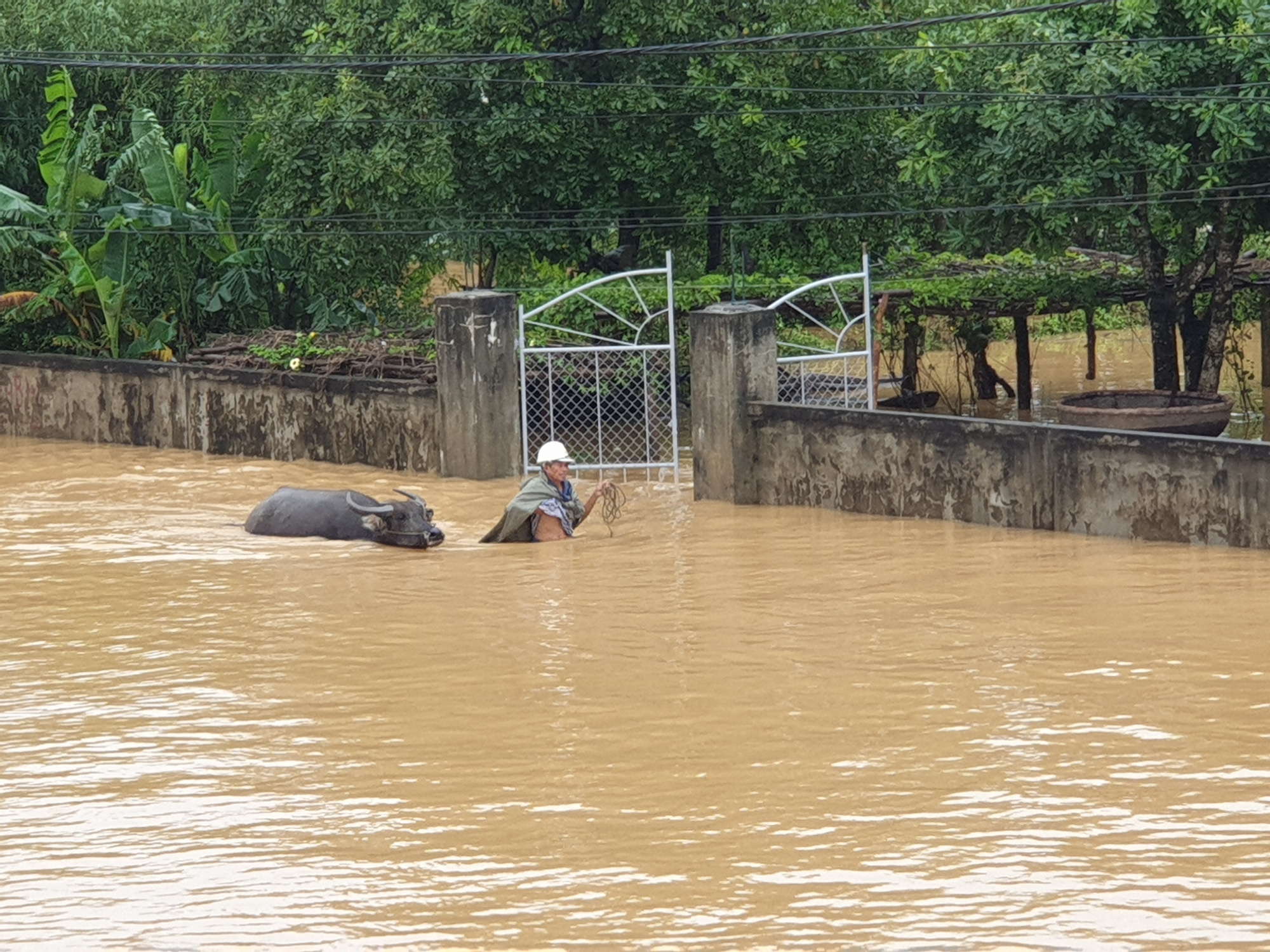 Vào &quot;rốn lũ&quot; Tân Ninh, Quảng Bình - Ảnh 7.