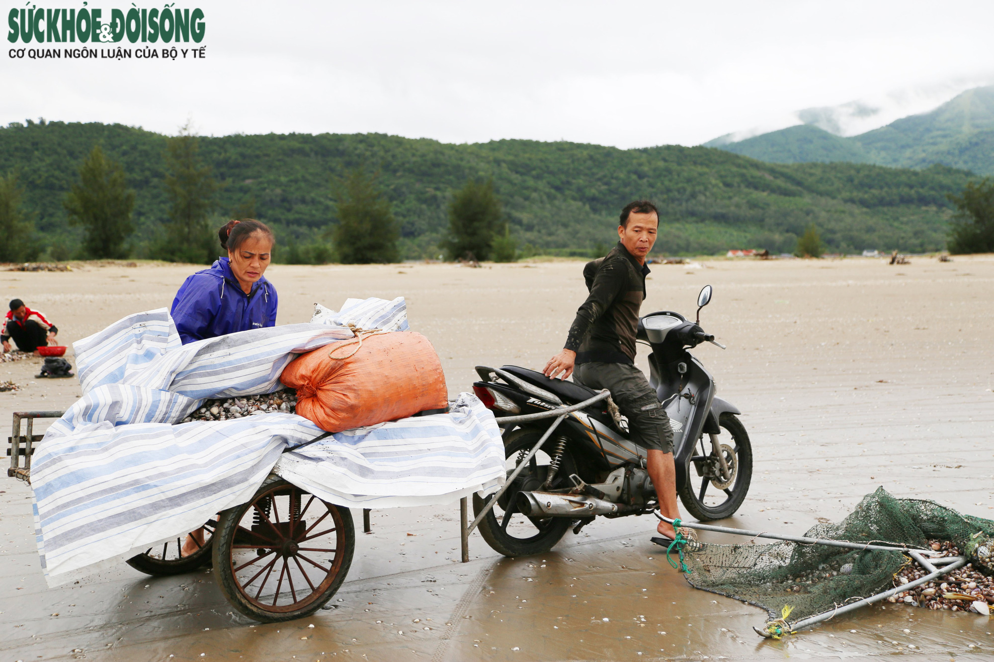 Ngư dân Hà Tĩnh ra biển vớt &quot;lộc trời&quot; sau bão - Ảnh 4.