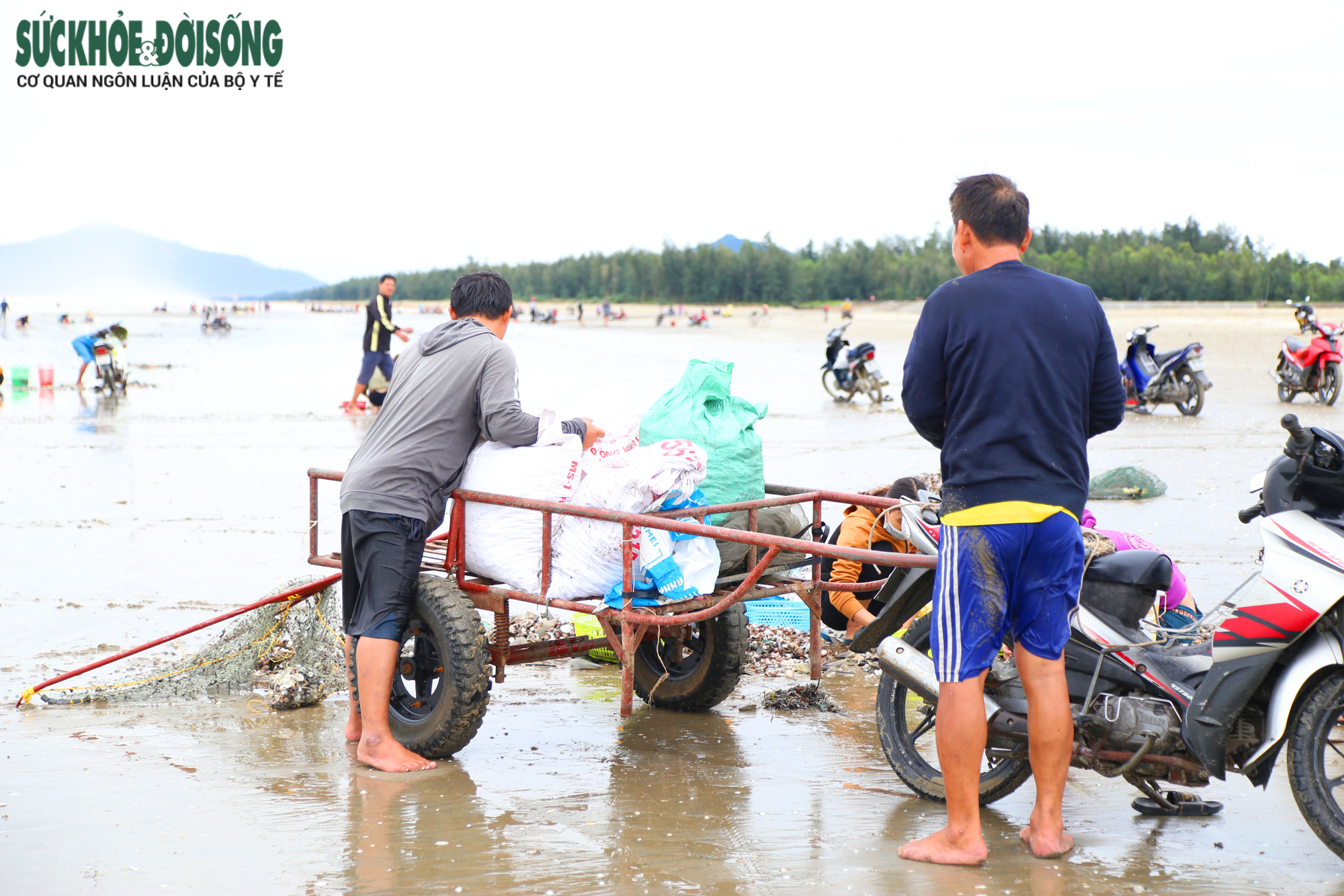 Ngư dân Hà Tĩnh ra biển vớt &quot;lộc trời&quot; sau bão - Ảnh 5.