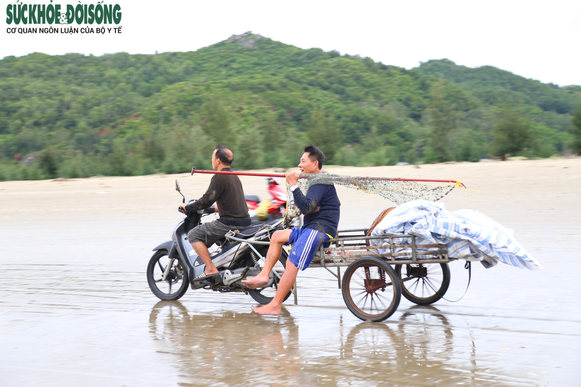 Ngư dân Hà Tĩnh ra biển vớt &quot;lộc trời&quot; sau bão - Ảnh 8.