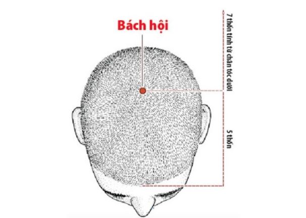 Tư xoa bóp nâng cao sức khỏe, phòng bệnh COVID-19 - Ảnh 1.