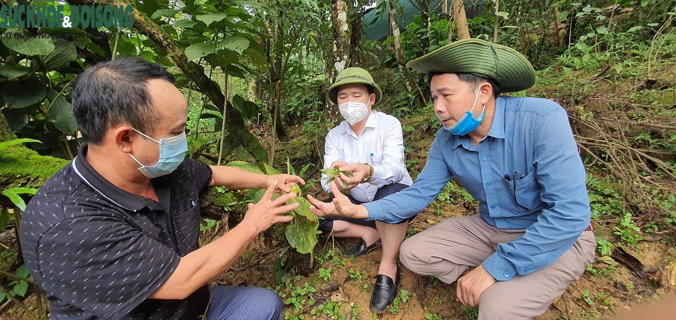 Đẩy mạnh giải quyết việc làm, tạo sinh kế bền vững cho người dân từ các tỉnh phía Nam về   - Ảnh 4.