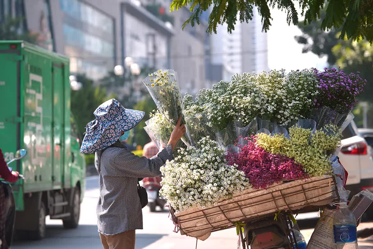 Cúc họa mi tinh khôi xuống phố cùng thu Hà Nội - Ảnh 5.