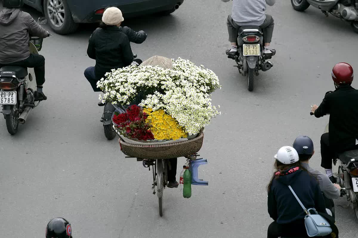 Cúc họa mi tinh khôi xuống phố cùng thu Hà Nội - Ảnh 3.