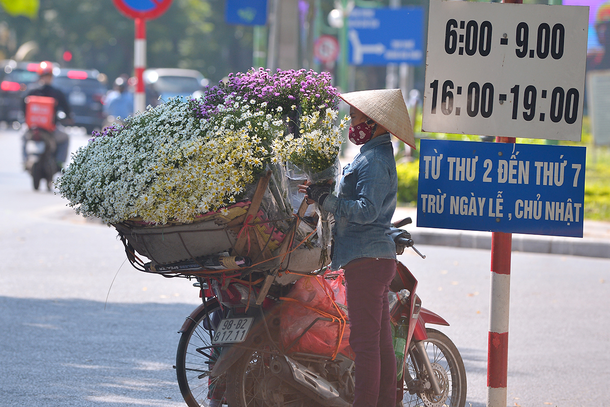 Cúc họa mi tinh khôi xuống phố cùng thu Hà Nội - Ảnh 2.