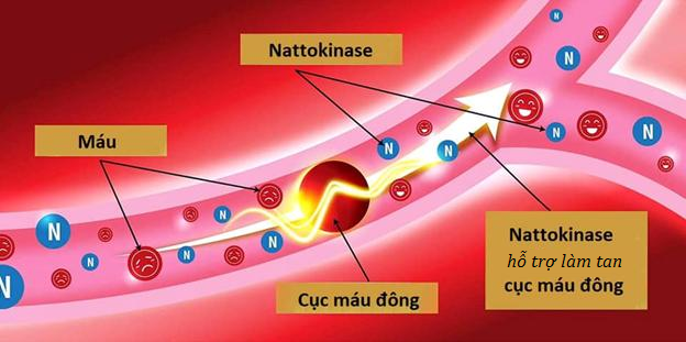 Enzyme trong đậu tương lên men hỗ trợ hạn chế nguy cơ nhiễm virus - Ảnh 2.