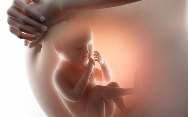 Vì sao thai phụ cần làm các xét nghiệm sàng lọc trước sinh?
