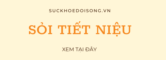 Sỏi tiết niệu: Nguyên nhân, triệu chứng và điều trị  - Ảnh 1.