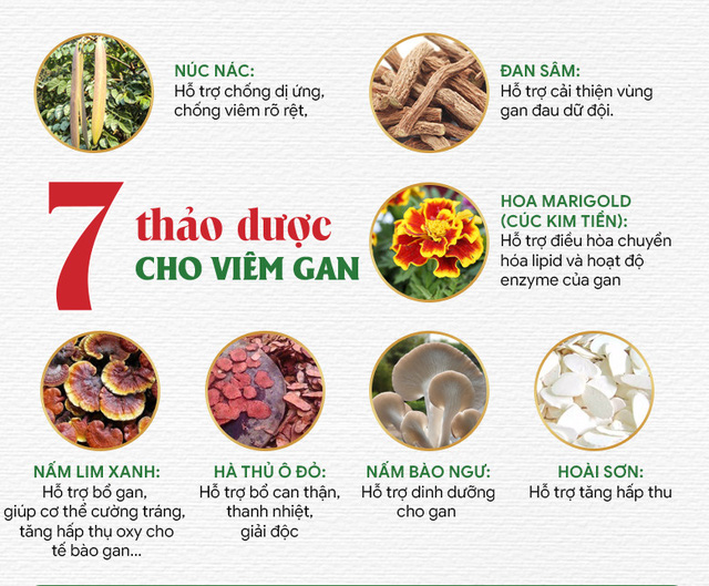 Những bệnh lý gan nào biểu hiện trên chỉ số men gan cao? - Ảnh 1.