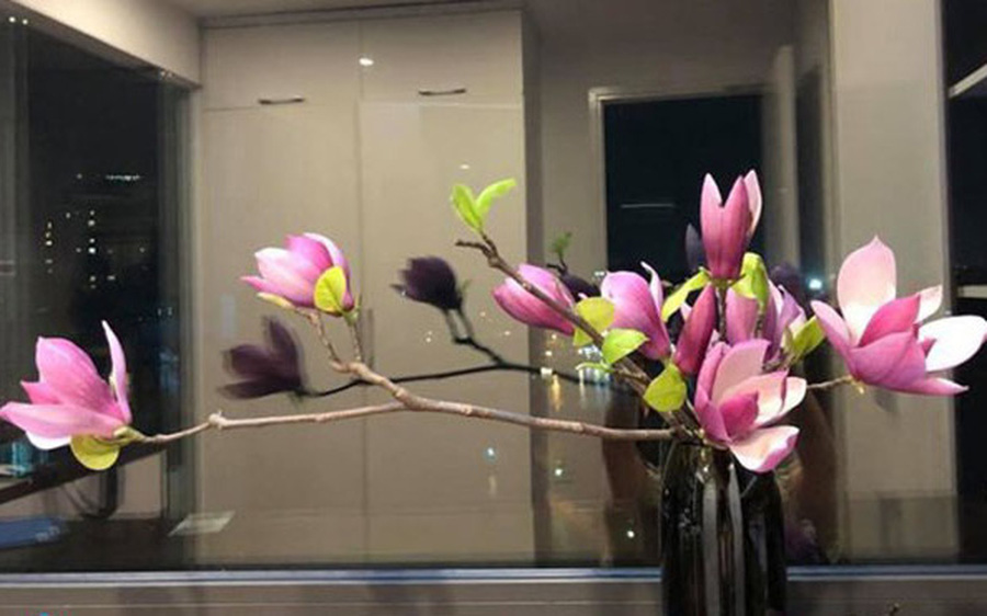 50+ Cắm hoa lan đẹp Tặng người thân hoặc trang trí nhà cửa