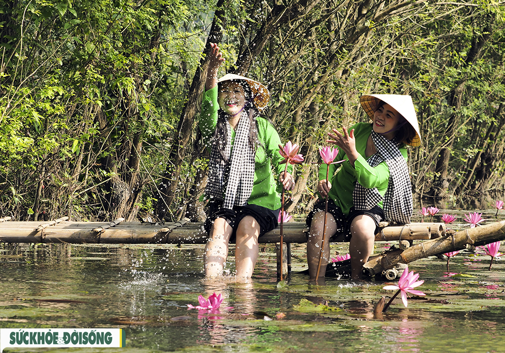 Suối Yến - Đẹp đến ngẩn ngơ trong sắc tím - Ảnh 10.