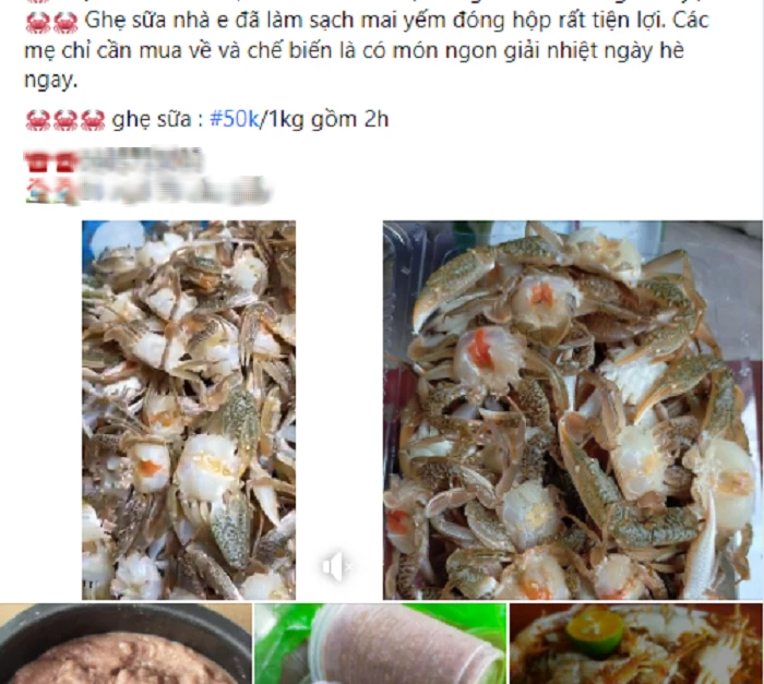 Ghẹ sữa tươi thơm ngon nhiều gạch, bà nội trợ mua cả yến nấu canh, chiên giòn sốt me đãi cả nhà - Ảnh 1.