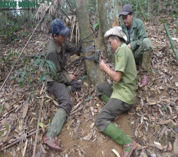 Bẫy ảnh trong rừng - Ảnh 2.