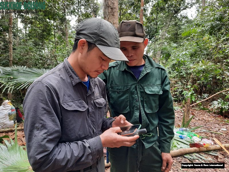 Bẫy ảnh trong rừng - Ảnh 8.