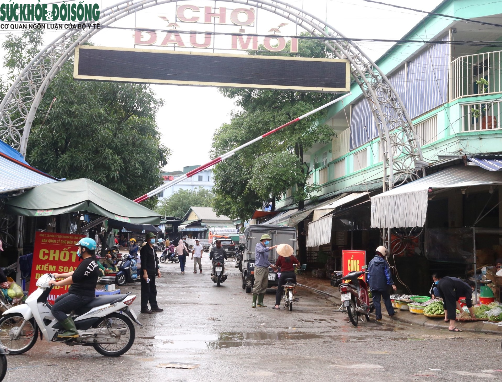 Sau gần 3 tháng tạm dừng hoạt động, chợ đầu mối lớn nhất Nghệ An mở cửa trở lại   - Ảnh 4.