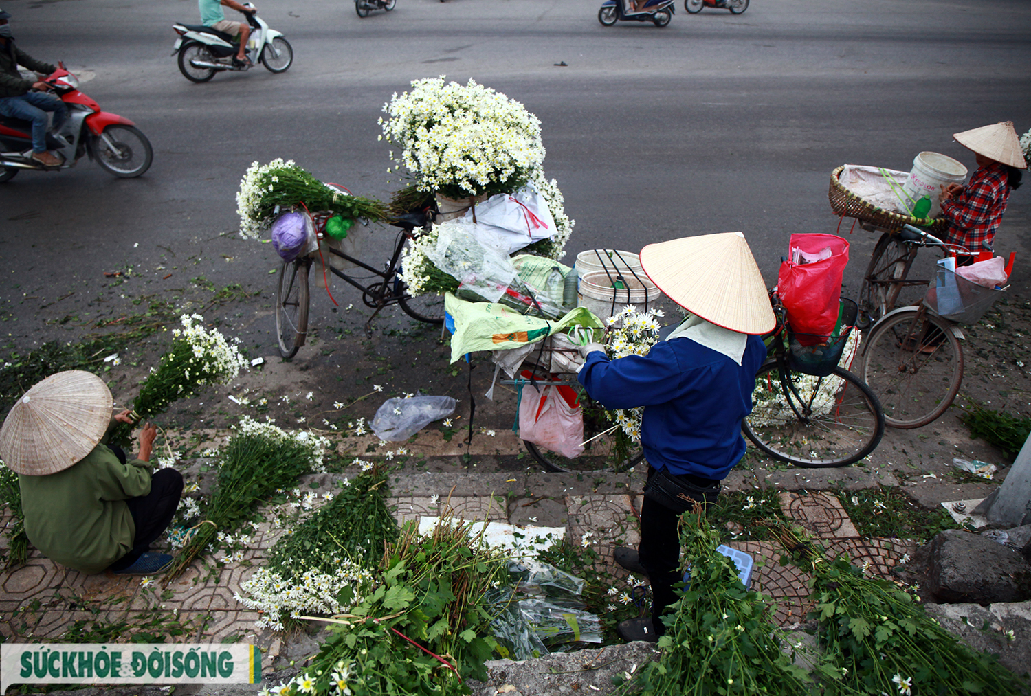 Hoa đẹp &quot;hái ra tiền&quot; cũng lao đao vì dịch COVID -19 - Ảnh 9.