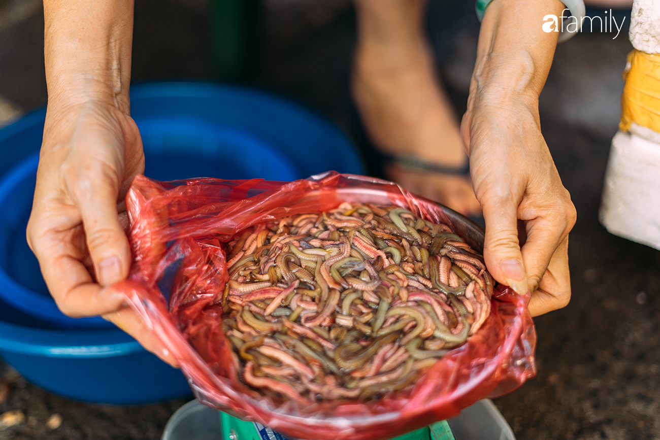 Giá rươi tăng hơn nhiều so với năm ngoái, hơn 600 ngàn/kg do khan hiếm - Ảnh 8.