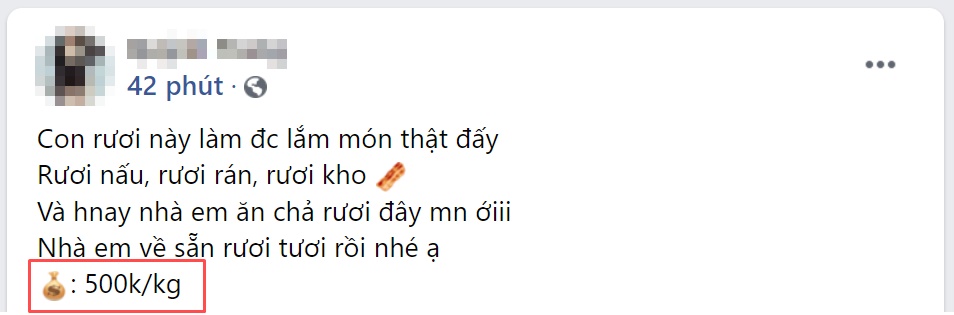 Giá rươi tăng hơn nhiều so với năm ngoái, hơn 600 ngàn/kg do khan hiếm - Ảnh 4.