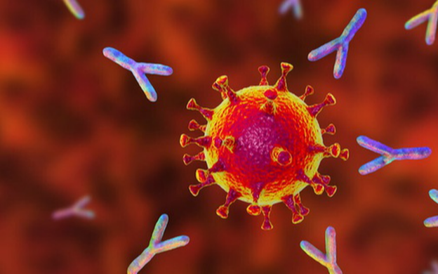 FDA cấp phép sử dụng khẩn cấp hỗn hợp kháng thể đơn dòng ngừa COVID-19  - Ảnh 3.