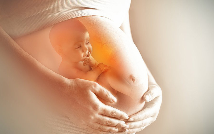 Nhau thai là gì, ảnh hưởng của nhau thai đến thai kỳ?