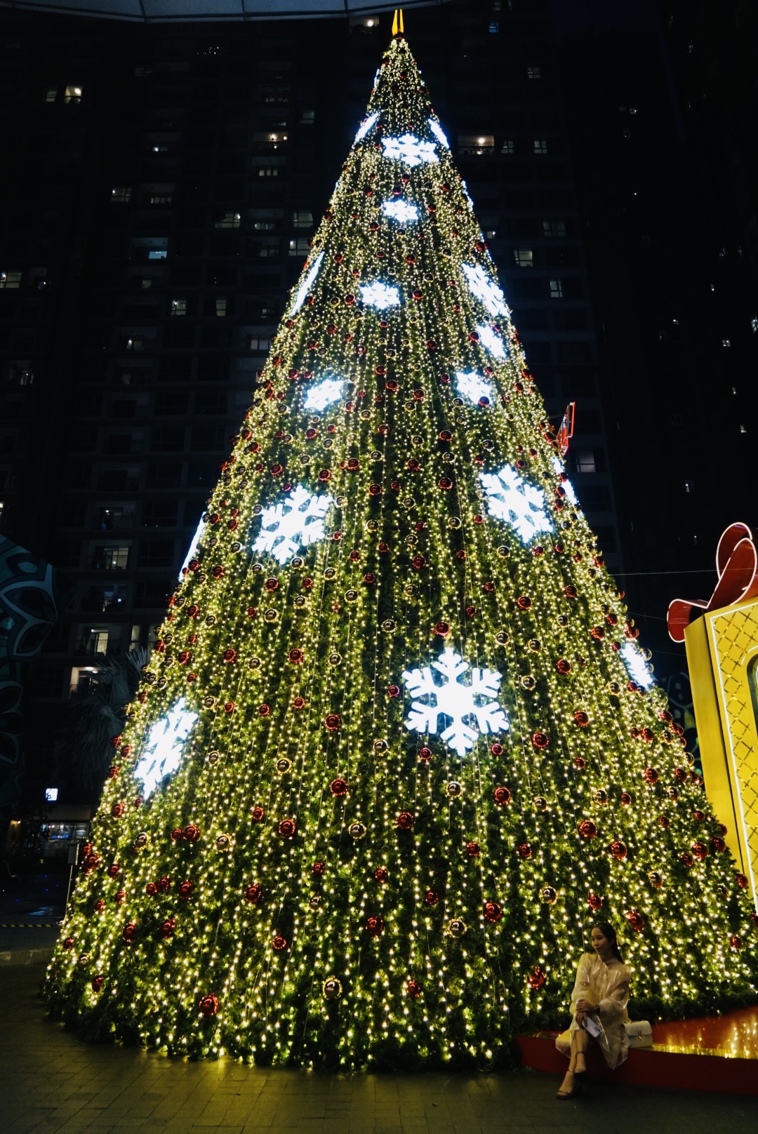 Hình ảnh Cây Thông Noel đôi Với Kích Thước Lớn Và Nhỏ PNG  Gấp đôi Giáng  Sinh Vui Vẻ Giáng Sinh PNG miễn phí tải tập tin PSDComment và Vector