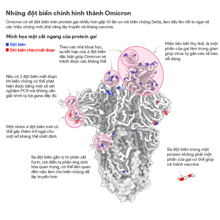 Biến thể Omicron gây nguy cơ cao trên toàn cầu, Anh ghi nhận ca tử vong đầu tiên vì 'siêu biến thể'