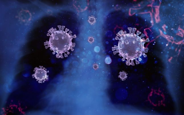Tìm ra kháng thể ngăn ngừa được mọi biến thể coronavirus?