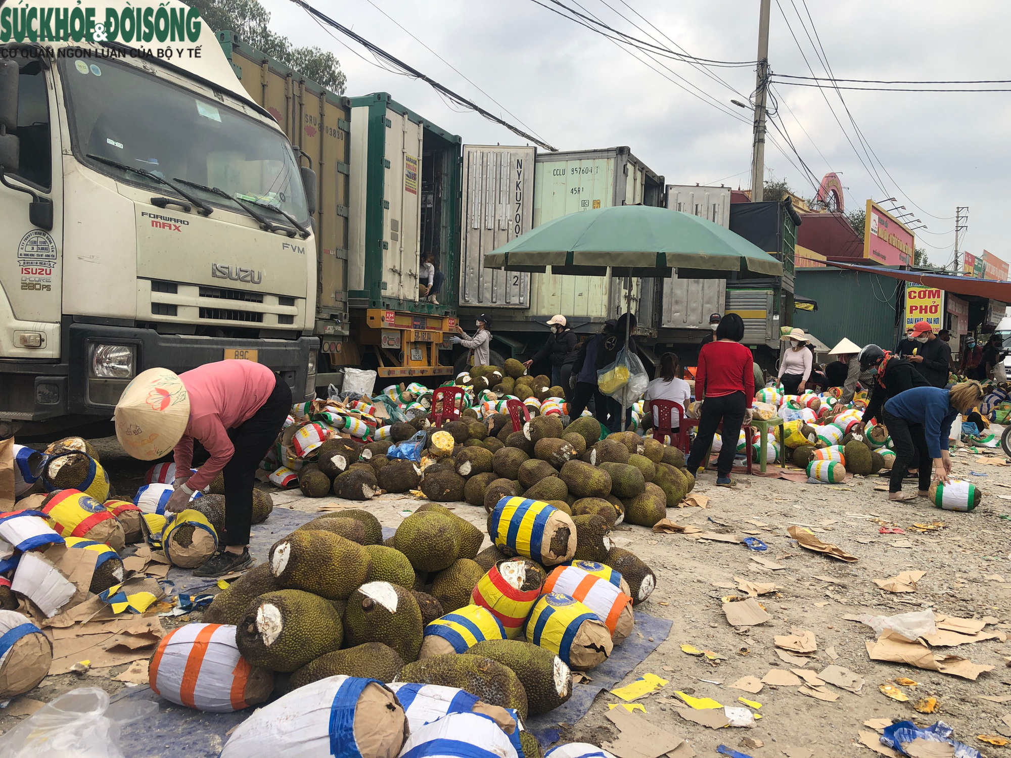 Trăm nghìn tấn trái cây ùn ứ cửa khẩu, mít Thái quay đầu chờ “giải cứu” - Ảnh 5.