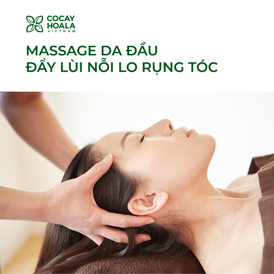 Đẩy Lùi Nỗi Lo Rụng Tóc Với 3 Cách Massage Da đầu đơn Giản