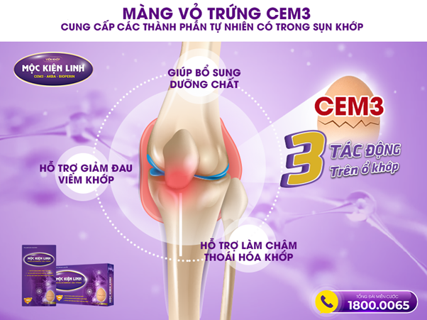 Sự thật màng vỏ trứng tự nhiên hỗ trợ giúp giảm đau nhức khớp lâu năm - Ảnh 1.