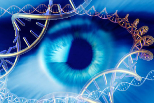 Các phương pháp đưa liệu pháp gen vào mắt - Ảnh 1.