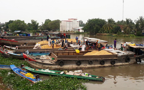 Thống nhất vị trí đặt các chốt kiểm soát dịch, tạo điều kiện thu mua nông sản