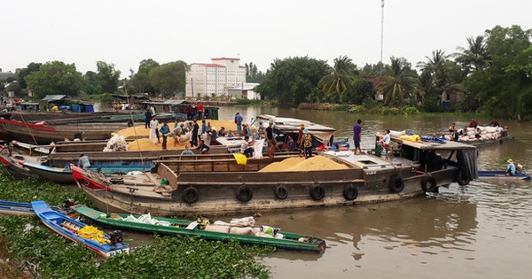 Thống nhất vị trí đặt các chốt kiểm soát dịch, tạo điều kiện thu mua nông sản - Ảnh 2.