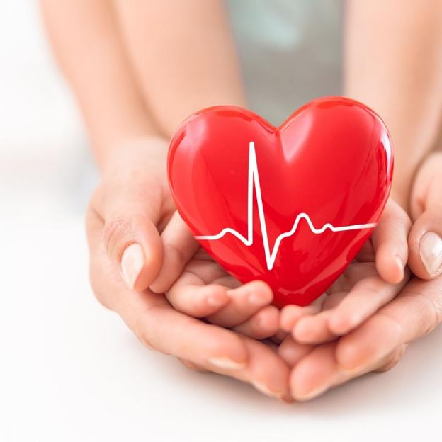 Tác dụng của atiso đối với sức khoẻ tim mạch