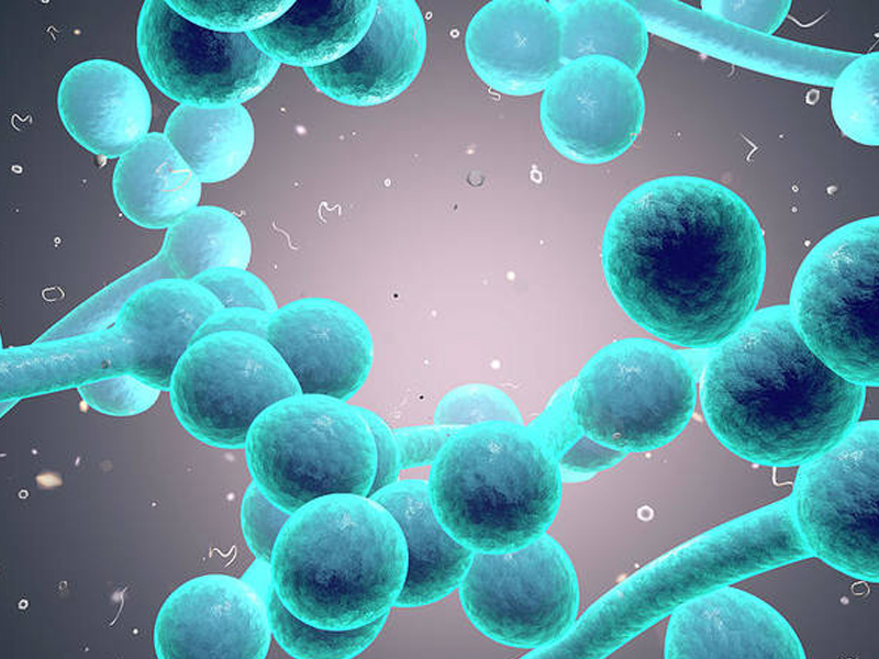 Triệu chứng viêm âm đạo do trùng roi- Ảnh 2. Triệu chứng viêm âm đạo do trùng roi- Ảnh 2.