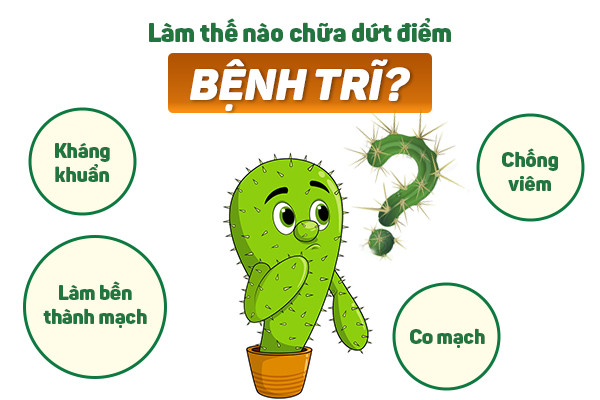 Thảo dược hỗ trợ cải thiện nhanh tình trạng khó chịu do bệnh trĩ gây ra - Ảnh 1.