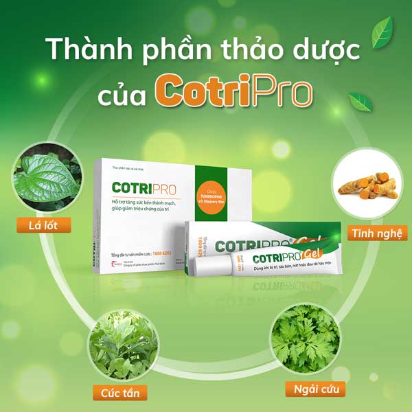 Thảo dược hỗ trợ cải thiện nhanh tình trạng khó chịu do bệnh trĩ gây ra - Ảnh 5.