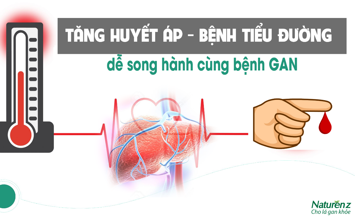 Giải pháp hỗ trợ giải độc gan hiệu quả cho người mắc bệnh mạn tính