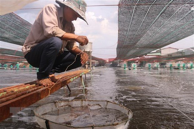 Giải pháp phục hồi sản xuất chế biến, xuất khẩu nông thủy sản sau giãn cách xã hội - Ảnh 1.