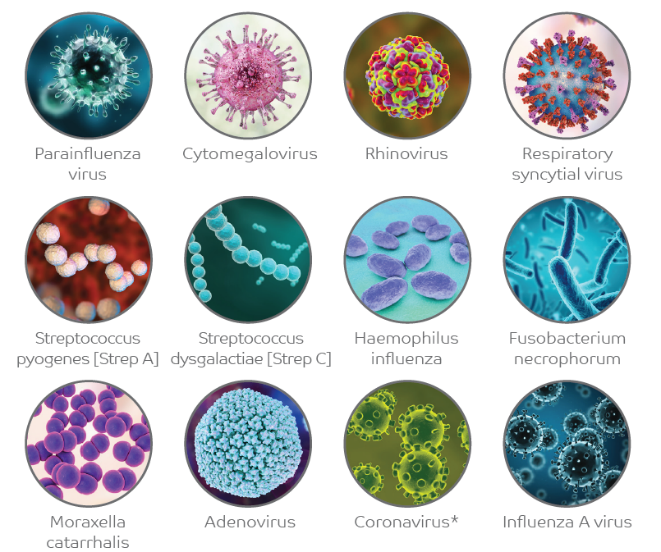 Viên ngậm kháng khuẩn giảm đau họng - Ảnh 2.