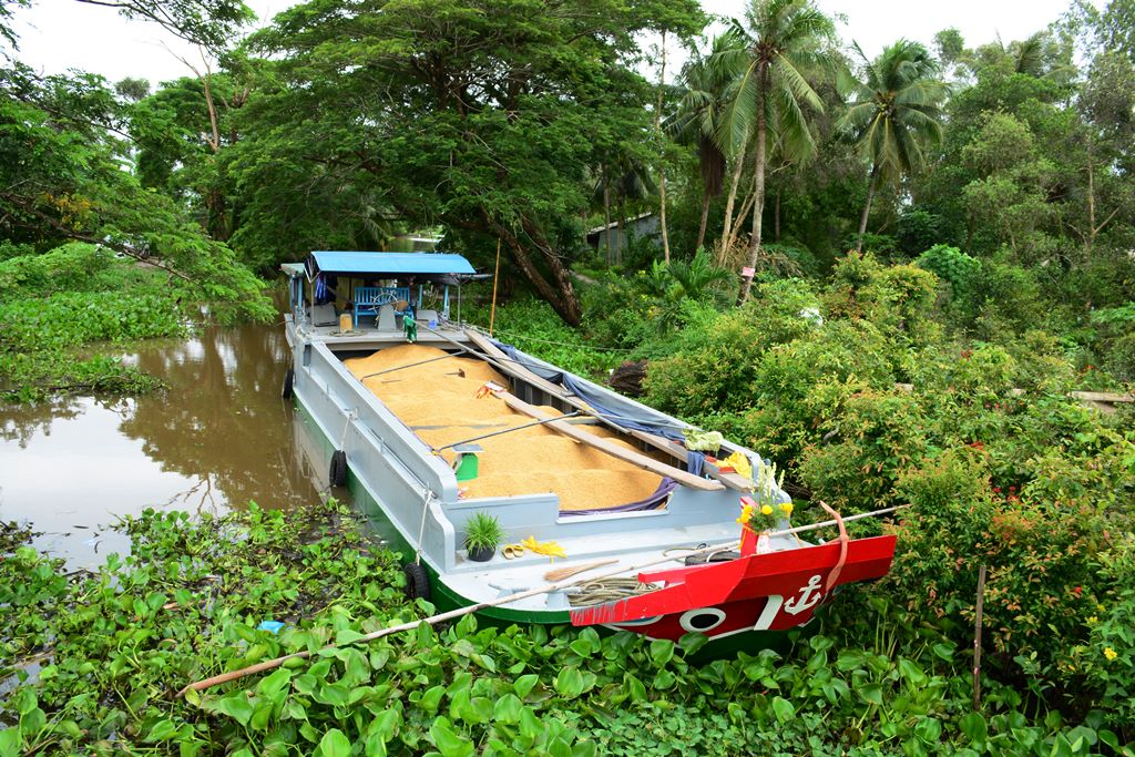 Ưu tiên cao nhất cho lưu thông tiêu thụ nông sản và các sản phẩm nông nghiệp  - Ảnh 2.