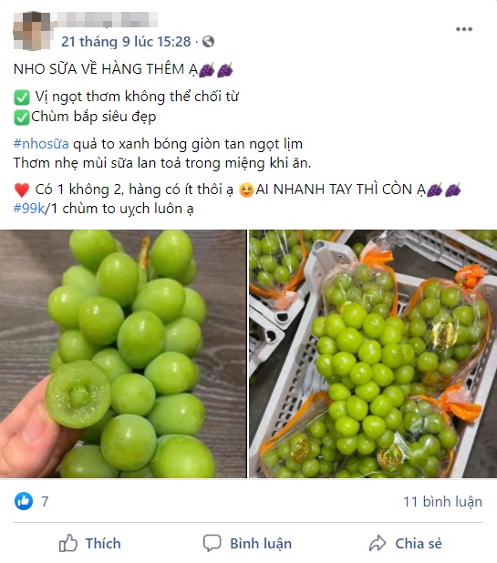 Nho sữa to tròn căng mọng đổ về chợ online, giá rẻ chưa từng có chỉ 99 ngàn/kg - Ảnh 4.